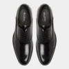 Braz Oxford shoe
